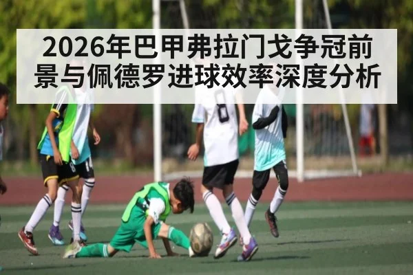 2026年巴甲弗拉门戈争冠前景与佩德罗进球效率深度分析